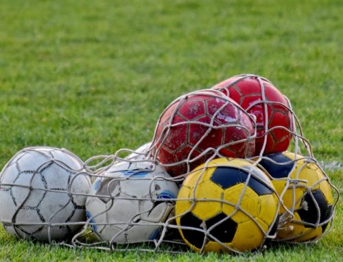 Bollsport